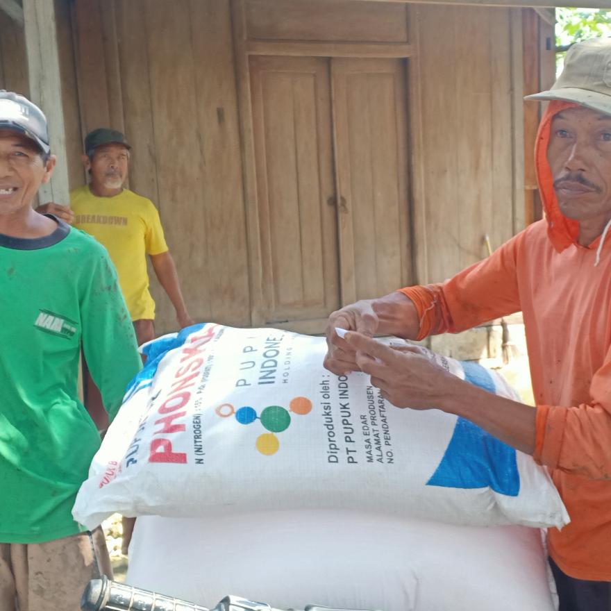 PENYALURAN PUPUK KEPADA PETANI